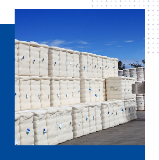 Cotton Bales